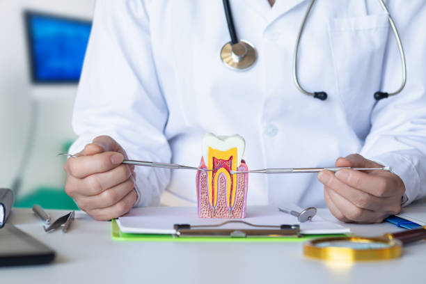 Best Emergency Tooth Extraction in Chesterfield, SC